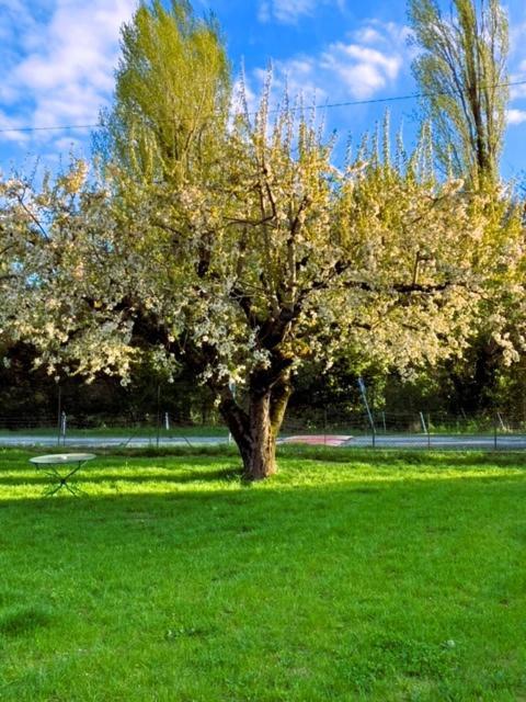 La Mirabelle - Suite Familiale De Charme En Provence Mirabeau Kültér fotó